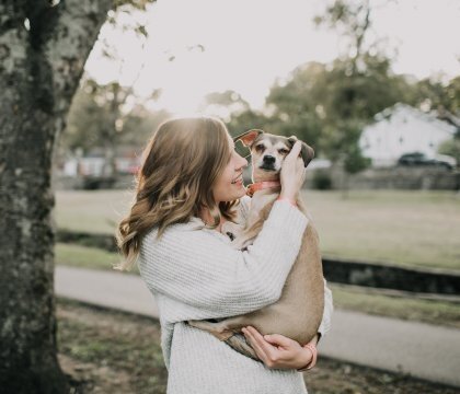 Déménager avec des animaux de compagnie